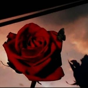 Meet your Posher, Aisha